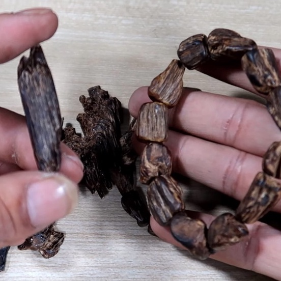 Trầm Hương Dó Bầu có lượng tinh dầu lớn