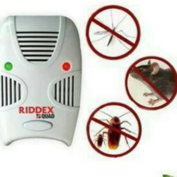 Bộ Đồ Chơi Riddex Quad Grade S Chất Lượng Cao