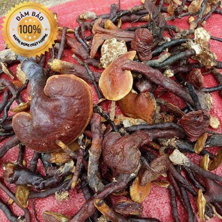 200g nấm linh xanh
