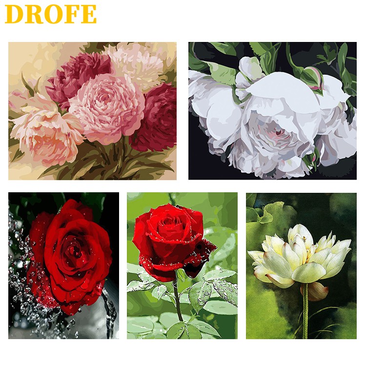 DROFE ~ Bộ sưu tập hoa sen hoa mẫu đơn ~ Painting by Number kid for adult / Tranh Sơn Dầu Số Hóa Phong Cảnh Nhiều Mẫu Hot Trend - Tranh Số Hóa  Tranh tô màu số hóa các