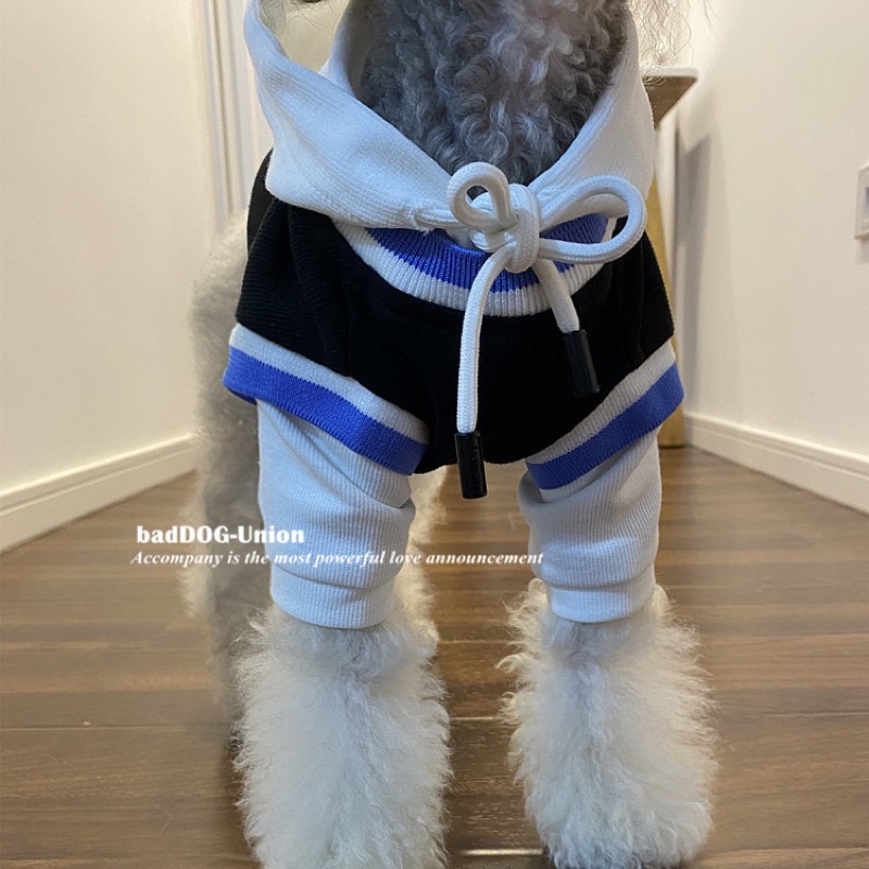 ÁO HOODIE dành cho thú cưng