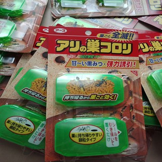 thuốc diệt kiến Nhật Bản