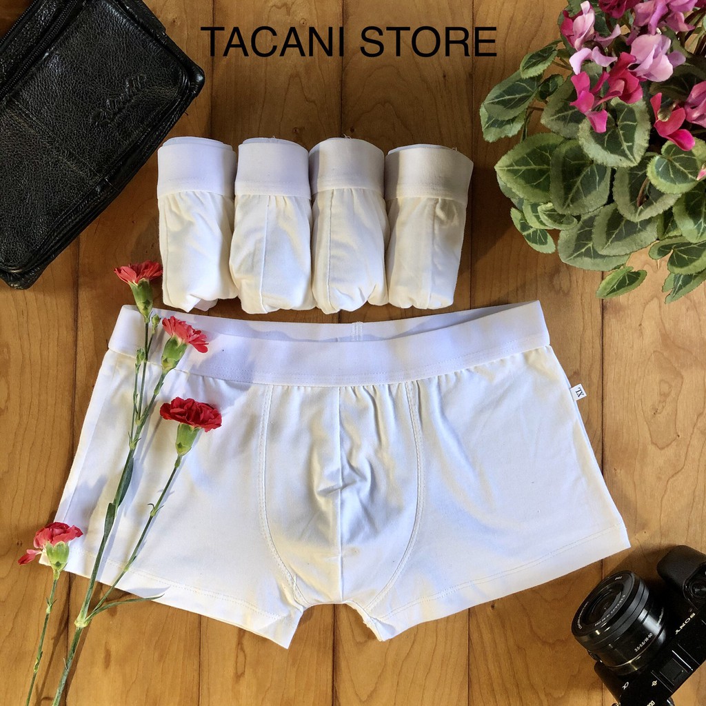 Quần lót sịp xì đùi nam TACANI vải cotton cao cấp mềm mịn quan lot nam co giãn 4 chiều sang trọng QL