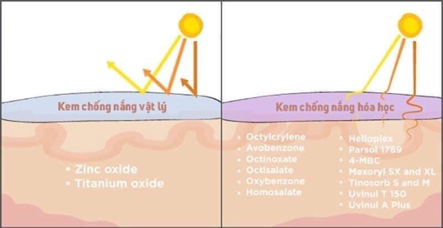 Kem chống nắng vật lý Reborn cell