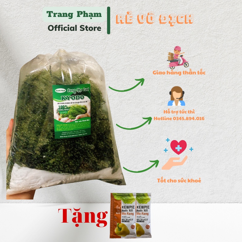 Rong nho tươi Nha Trang ăn liền túi 1kg - Tiêu chuẩn chất lượng Nhật