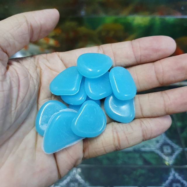 10 VIÊN ĐÁ DẠ QUANG XANH DƯƠNG TRANG TRÍ HỒ CÁ NON BỘ