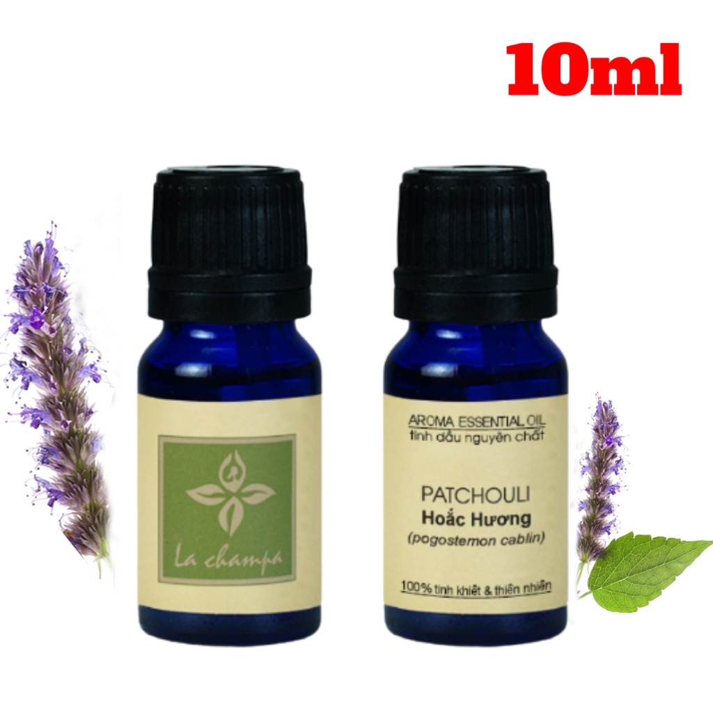 Tinh Dầu Hoắc Hương La champa Patchouli oil