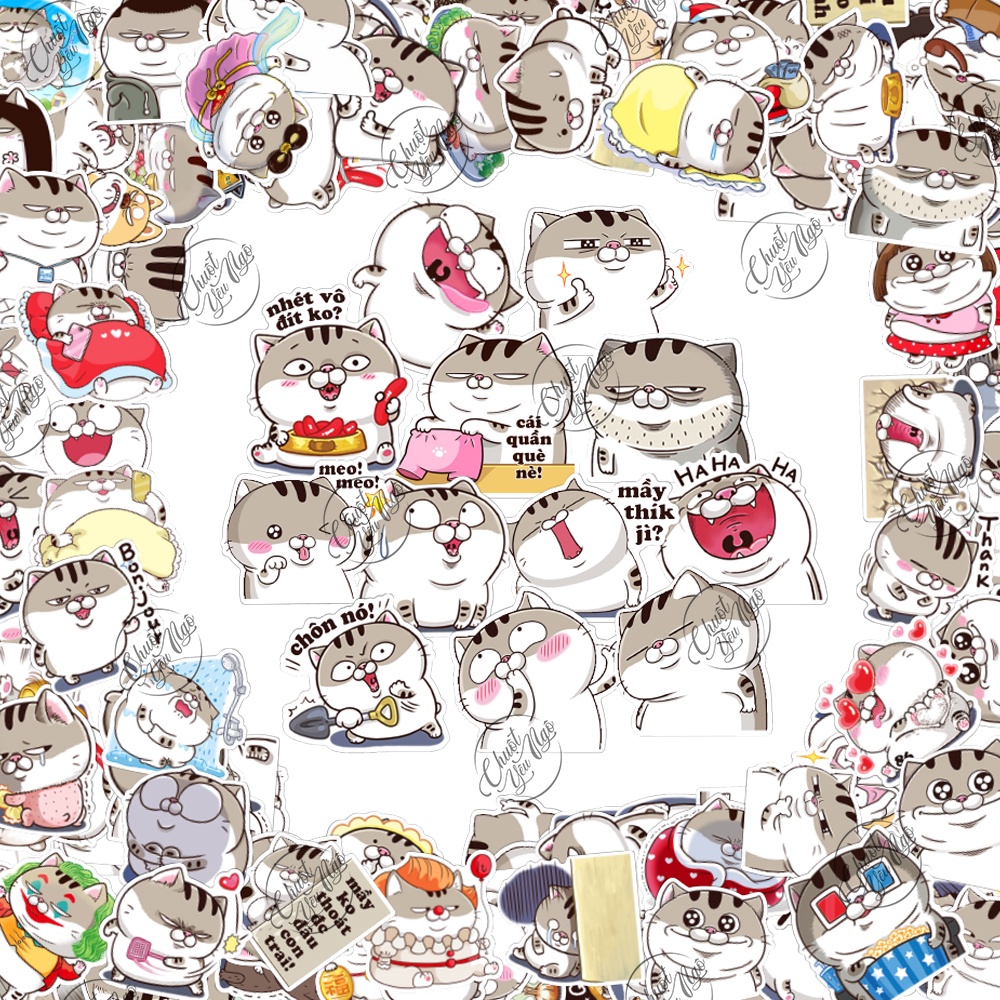 Combo 100 sticker decal hình dán chủ đề Mèo AMI bụng bự dễ thương, dán mũ bảo hiểm, dán laptop, điện thoại