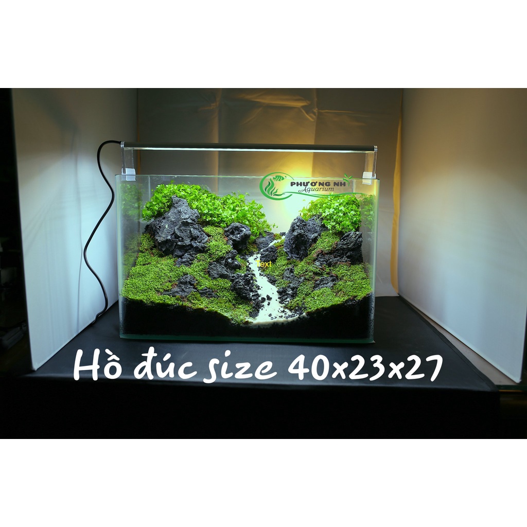 Hồ đúc 40x23x25  cm giao tại HCM