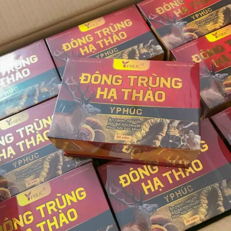 Đông trùng hạ thảo Y phúc tăng cừong sức khoẻ