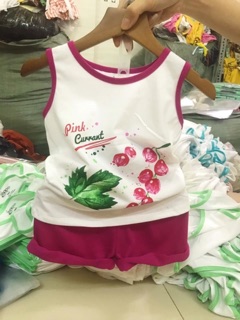 Combo bộ rau củ
