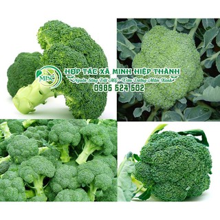 Sale off Hạt giống súp lơ xanh cực đẹp.