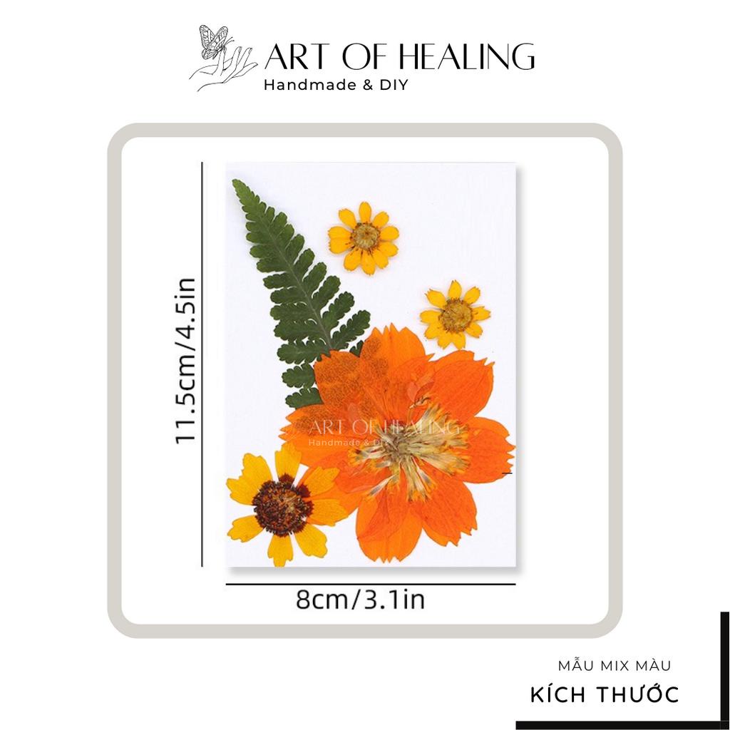 Set hoa ép khô các loại trang trí nến, resin, sổ tay, decor - 5 cánh  - Handmade & DIY