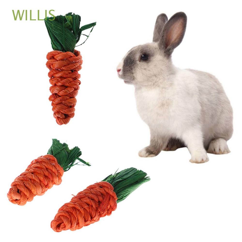 WILLIS Straw Bite Toys Playing Tooth Cleaning Chew Toys 3pcs/set Bird Toy Guinea Pig Rat Parrot Carrot Shaped Pet Supplies