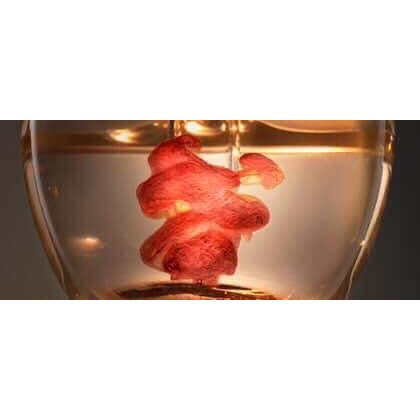 Gói Tinh chất nhân sâm cô đặc Sulwhasoo Concentrated Ginseng Rescue Ampoule 1 ml