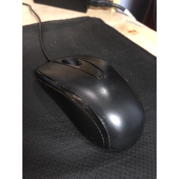 con chuột của mình | BigBuy360 - bigbuy360.vn