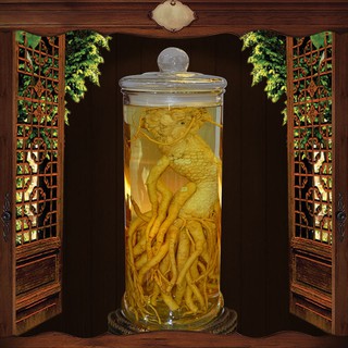 Bình Thủy Tinh Ngâm sâm 15 Lít - Trơn