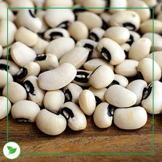 Đậu Trắng - 500g (Hạt To & Hạt Nhỏ)