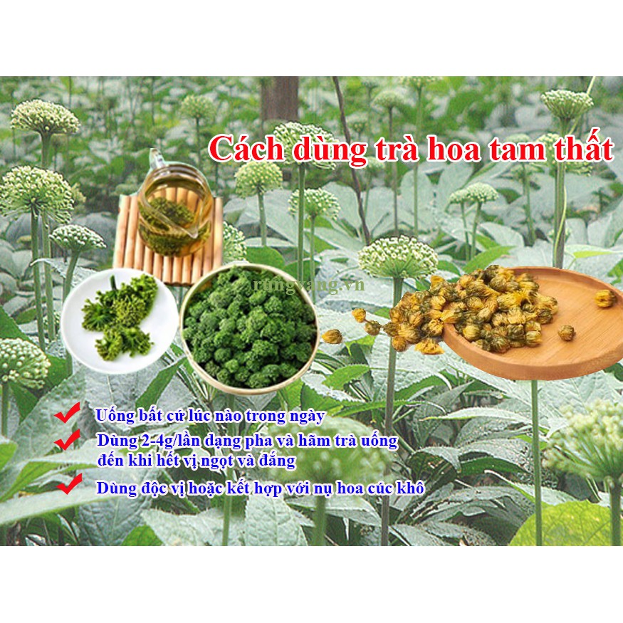 Trà Nụ Hoa Tam Thất Bắc Khô - Sấy và Bảo Quản Sạch gói 100g | BigBuy360 - bigbuy360.vn