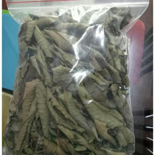 Lá ổi 1kg (Tươi -Khô)