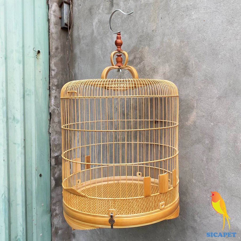 Lồng chim biên hòa dũi chỉ, Lồng chích chòe, White-rumped shama cage, Copsychus saularis SICAPET