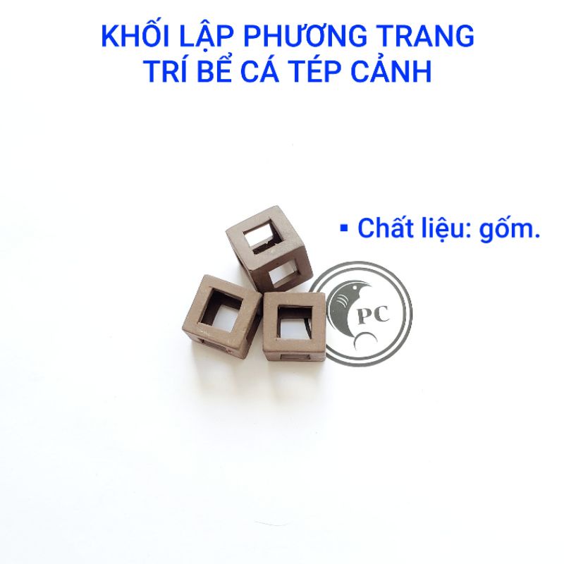 Khối lập phương trang trí bể thủy sinh cá cảnh