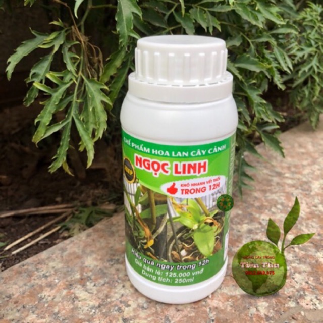 Chế phẩm hoa Lan cây cảnh Ngọc Linh-Đặc trị thối nhũn 12h (250ml)