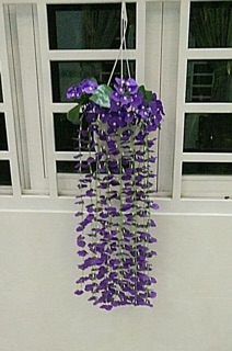 Hoa lan vũ nữ treo tường