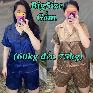 Đồ bộ pijama gấm bigsize - tay ngắn quần đùi
