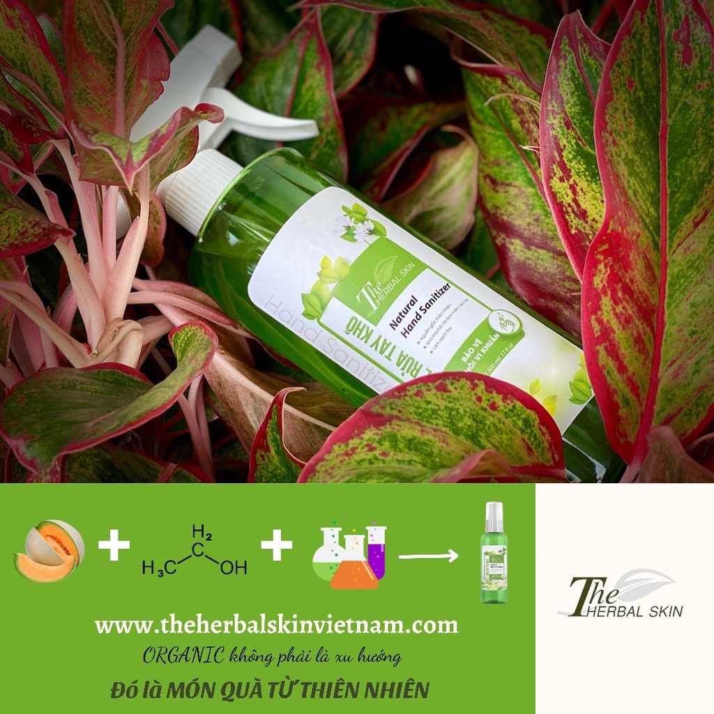 Xịt Rửa Tay Khô Sát Khuẩn The Herbal Skin 500ml