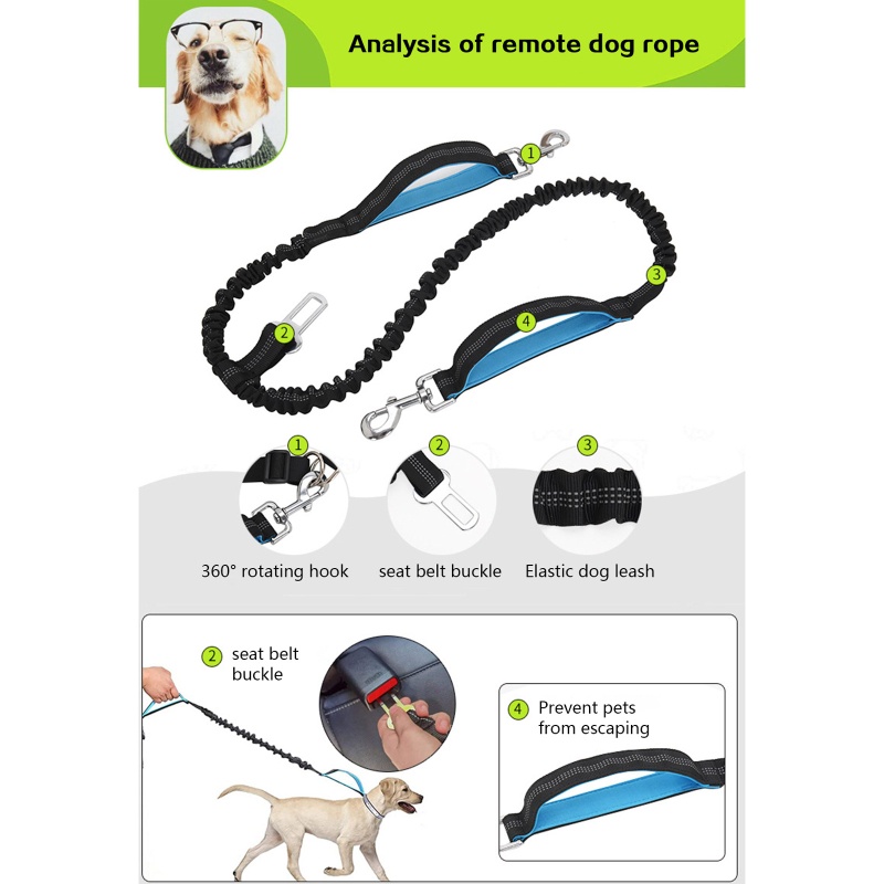 Dây Dắt Thú Cưng Đi Dạo Có Thể Thu Gọn Tiện Dụng