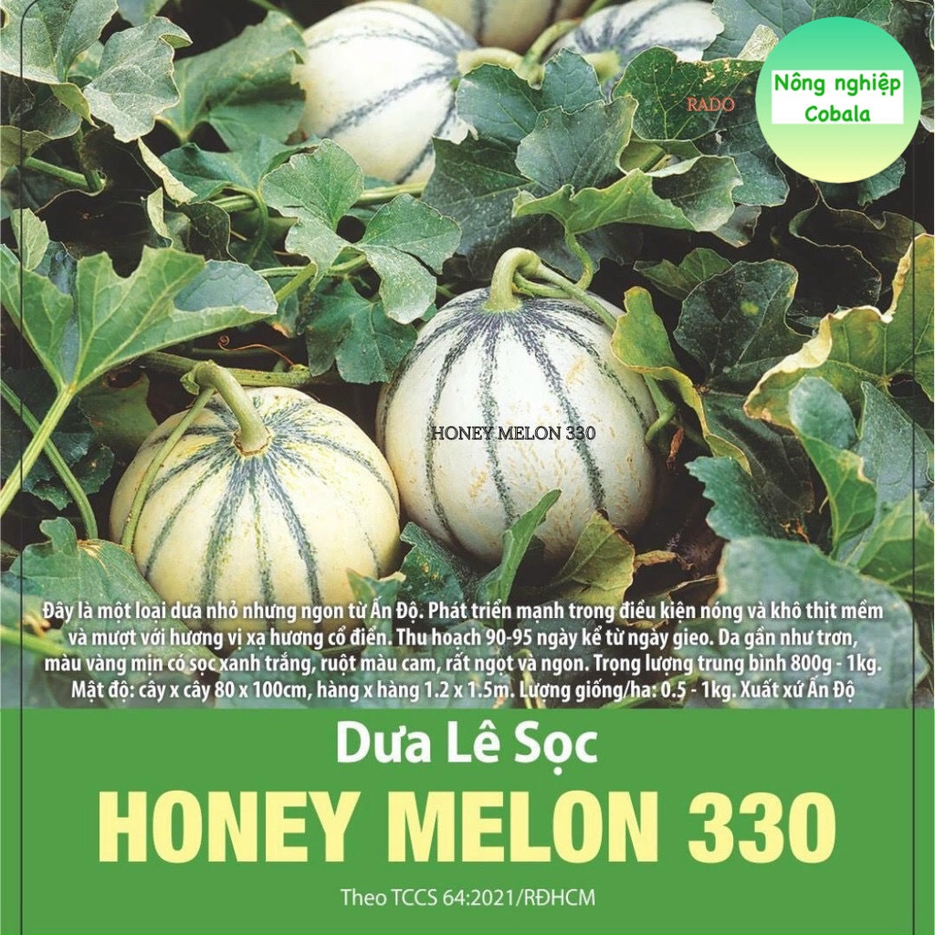 Hạt Giống Dưa Lê Sọc (HONEY MELON 330) 1gr