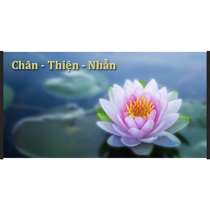 Ghim chăn bông, ga giường chống xê dịch, trơn trượt