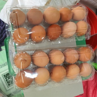 Trứng gà tươi hàng mới 10 quả _ gò vấp