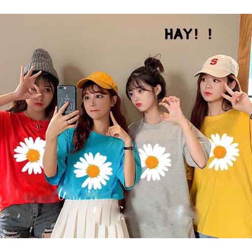 Áo thun Nữ Hoa cúc họa my nhiều màu  tay lỡ fom rộng dưới 60kg