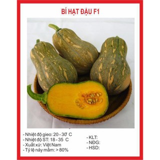 Hạt giống bí đậu - bí đỏ lai f1