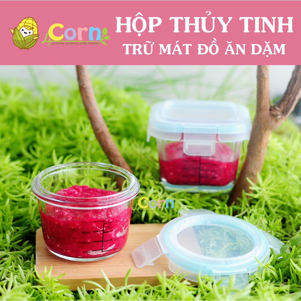 Hộp thủy tinh trữ mát đồ ăn nắp kín - trữ đồ ăn dặm cho bé