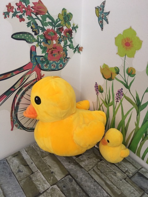 Set 2 em gấu bông cùng loại siêu xinh