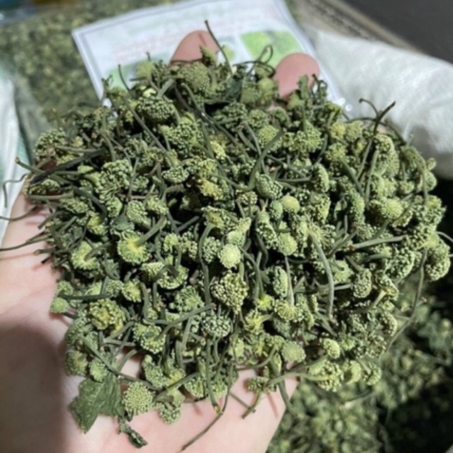 ⚡️500g⚡️ NỤ TAM THẤT bao tử loại hoa nhỏ đều ít cuống hỗ trợ điều trị mất ngủ và tốt cho tim mạch