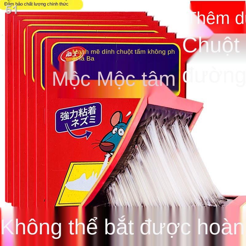 miếng dán chuột bảng siêu mạnh hiện vật bẫy dùng trong gia đình để bắt và các loài gặm nhấm với hiệu quả cao đặc