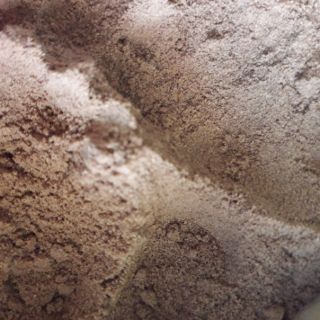CÁM CÁ BỘT MICRO 0 (100GRAM)