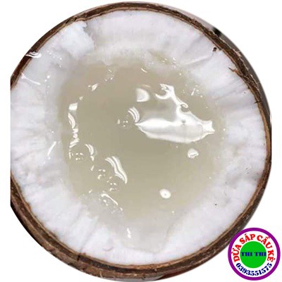 DỪA SÁP LOẠI 2 MINI (600gr-700gr)