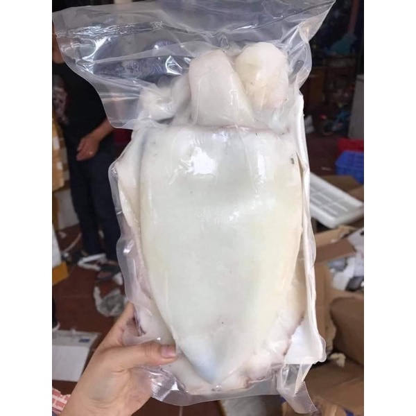 mực mai làm sạch 1kg siêu ngon, dày thịt nướng , xào