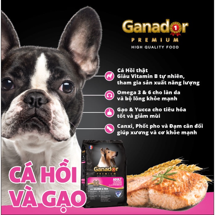 Thức ăn hạt khô cho chó con Ganador vị trứng sữa gói 400gram