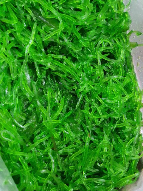 Mứt Đu Đủ 500g ráo nước