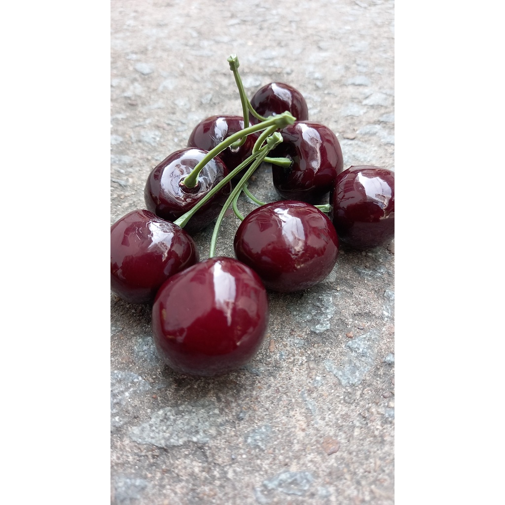 6 Trái Cherry giả - Trái cây giả - Hương Flower