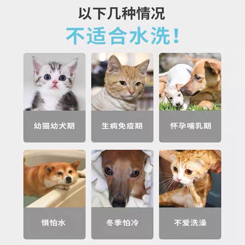 Sữa tắm khô cho chó mèo Borammy
