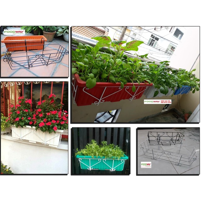Chậu trồng rau móc tường