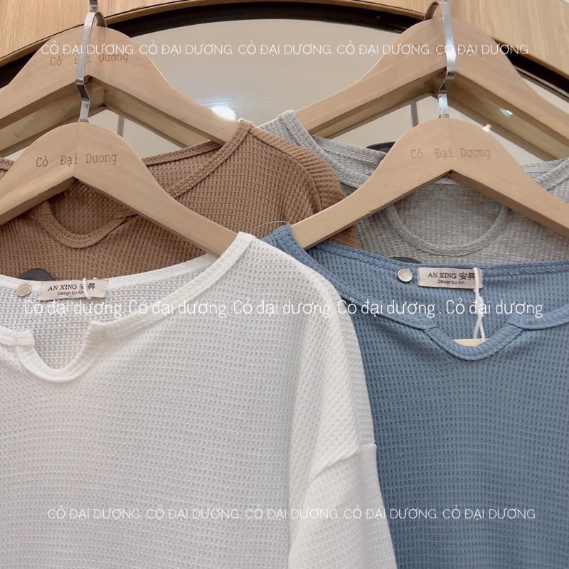 Áo sần ô dài tay 5820