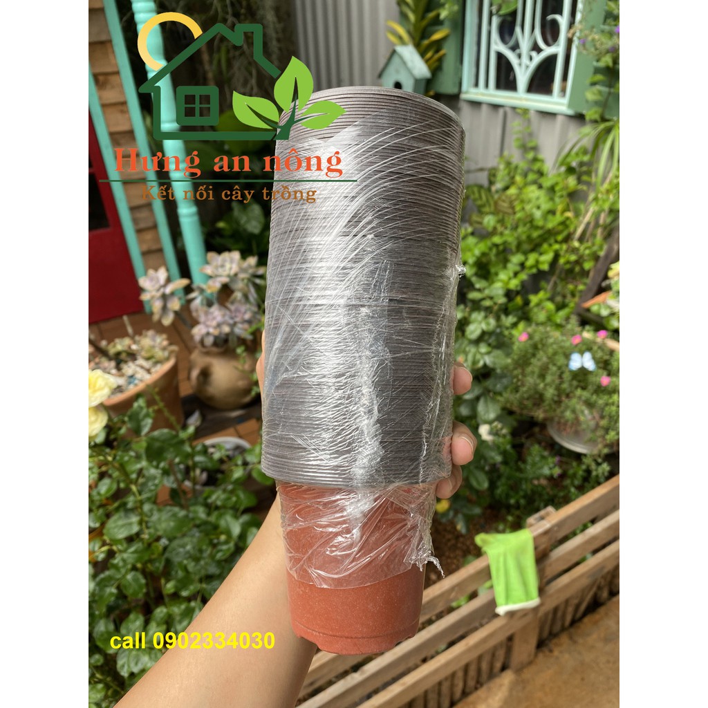 CNTL2 - Sét 100 cái chậu nâu nhựa tròn ươm trồng cây giống, size 8.7x7.5cm 3g/cái mỏng